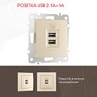 Розетка USB 2.1А+1А Arte Milano 206.46-1.shampan am