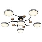 Потолочная люстра Velante 446-207-06