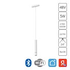 Светильник Подвесной Arte Lamp A2959PL-1WH RAPID