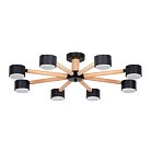 Потолочная люстра Arte Lamp TENDA A1624PL-8BK