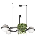 Подвесной светильник Loft IT 10121/4 Dark grey Jardin