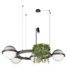Подвесной светильник Loft IT 10121/4 Dark grey Jardin