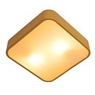 Потолочный светильник Arte Lamp A7210PL-2GO COSMOPOLITAN