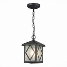 Светильник уличный подвесной ST LUCE SL084.403.01 LORNE