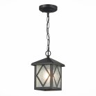 Светильник уличный подвесной ST LUCE SL084.403.01 LORNE