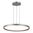 Светильник подвесной ST-Luce SL6015.413.01 SATELLITE
