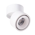 Светильник Потолочный Arte Lamp A7715PL-1WH ARCTURUS