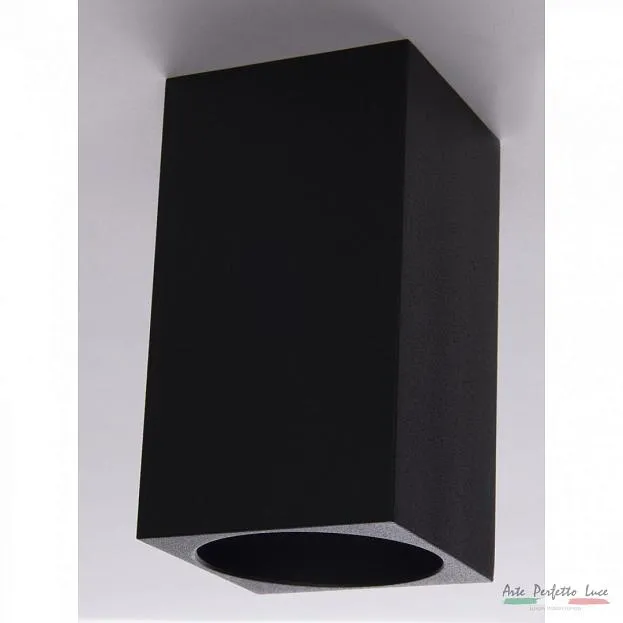 Спот Arte Perfetto Luce APL223HDL-5011-10-GU-BK BK