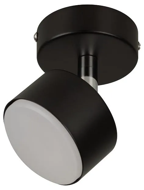 Светильник настенно-потолочный спот Rivoli 7079-701 Alesta