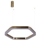 Подвесной светильник Loft IT 10243S Gold Titanium