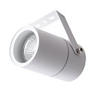Прожектор уличный Arte Lamp A3303AL-1WH Mistero