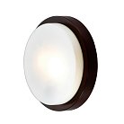 Светильник влагозащищенный Odeon Light 2744/2C Holger