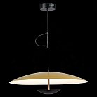 Подвесной светильник St Luce SL6502.213.01 ARMONICO