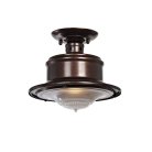 Потолочная люстра L'Arte Luce L13551.33 Brigg
