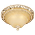 Накладной светильник WERTMARK WE342.03.027 Adora