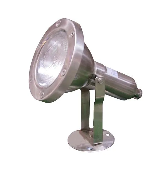 Грунтовый светильник Oasis Light 77198 SS