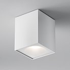 Потолочный светильник Maytoni C030CL-01W Zoom