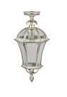 Потолочный светильник уличный Oasis Light 95205LA Gw ROMA L