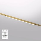 Светильник для трека Denkirs DK5752-SB SHINE LINEAR