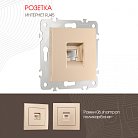 Розетка интернет, RJ45 Arte Milano 206.45-1.shampan am
