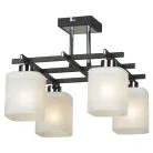 Люстра потолочная Lussole LSL-9007-04 Costanzo
