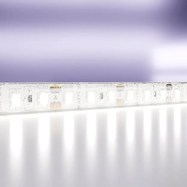 Светодиодная лента Maytoni 10113 12В