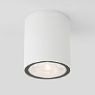 Уличный потолочный светильник Elektrostandard Light LED 2103 (35131/H) белый a056230