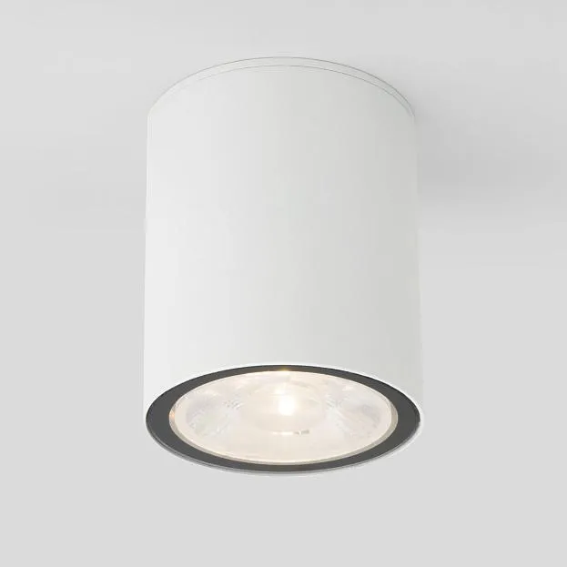Уличный потолочный светильник Elektrostandard Light LED 2103 (35131/H) белый a056230