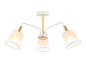 Подвесной светильник со сменной лампой Ambrella light TR4737 Modern Homy
