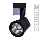 Светильник Потолочный Arte Lamp A1811PL-1BK AMICO