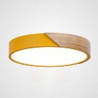 Потолочный Светильник Yellow D30 ImperiumLoft 193042-26 Clip01