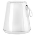 Декоративная настольная лампа Lightstar 745950 ALFA
