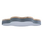 Потолочный светильник Loft IT 10005/36 grey Axel