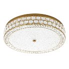 Потолочный cветильник LED4U L1181-700 BS