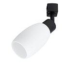 Потолочный светильник Arte Lamp A3055PL-1BK MIIA