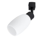 Потолочный светильник Arte Lamp A3055PL-1BK MIIA