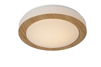 Потолочный светильник Lucide 79179/12/72 Dimy Led