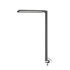 Настольный светильник SLV 1005392 WORKLIGHT