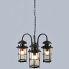 Уличный светильник подвесной L'Arte Luce L70903.07 Battista