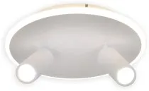 Настенно-потолочный светильник Escada 20046SMA/02LED WH 20046LED