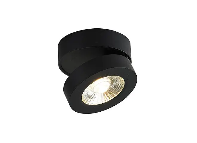 Накладной светильник Donolux DL18962R12W1B SUN Накладной светильник Donolux DL18962R12W1B SUN