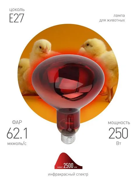 Лампочка инфракрасная ЭРА ИКЗК 220-250 R127