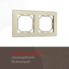 Рамка из поликарбоната на 2 поста Arte Milano 503.06-2.shampan am