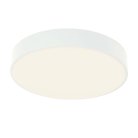 потолочный светильник F-Promo 4683-4C
