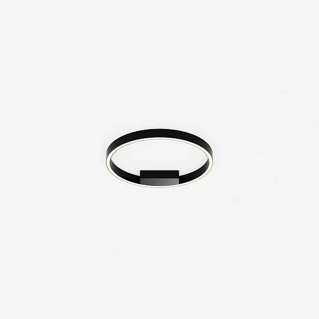 Потолочный светильник Maytoni MOD058CL-L25BK Rim