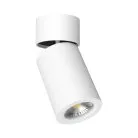 Накладной светильник LeDron AO1705001 White AO1705001(02)