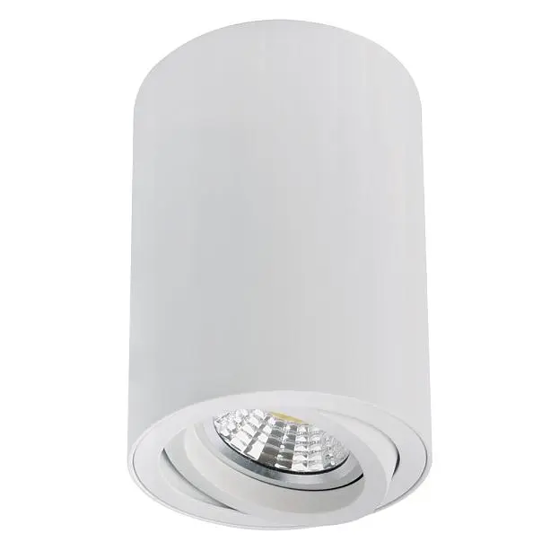 Точечный накладной светильник Arte Lamp A1566PL-1WH SENTRY Точечный накладной светильник Arte Lamp A1566PL-1WH SENTRY