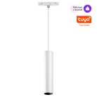 Умный трековый светильник ДУ/Tuya Smart Life Novotech 359499 FLUM