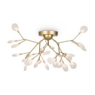 Потолочный светильник Freya FR5049CL-27G Florencia