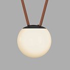 Светильник для трека-ремня, со светодиодом Denkirs DK5551-BK Belty, серия Orb